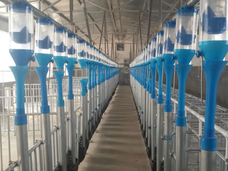 Automatic Pig Feeding System