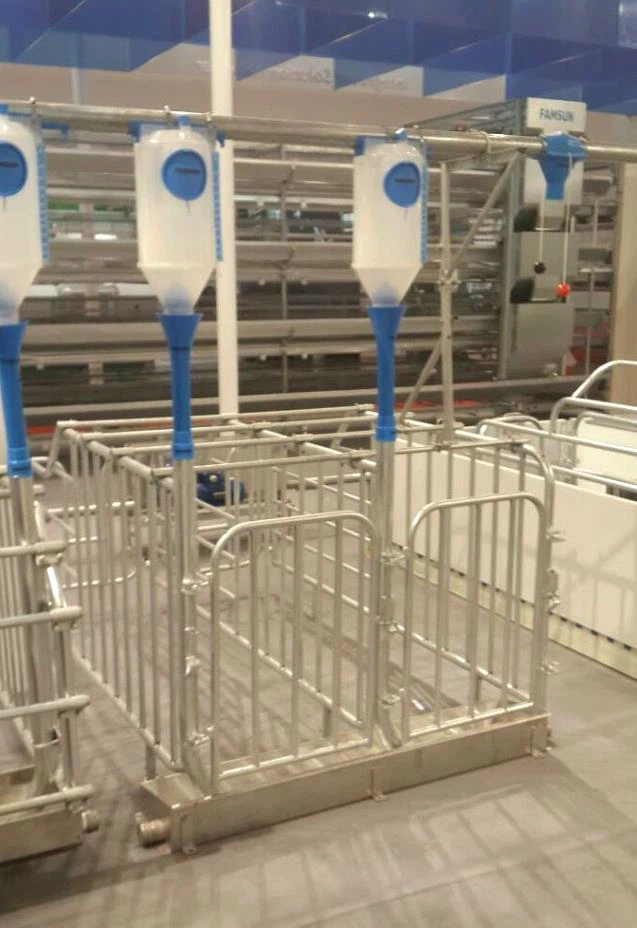 Automatic Pig Feeding System