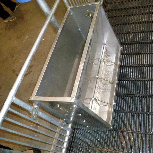 Stainless Steel Pig Feeder